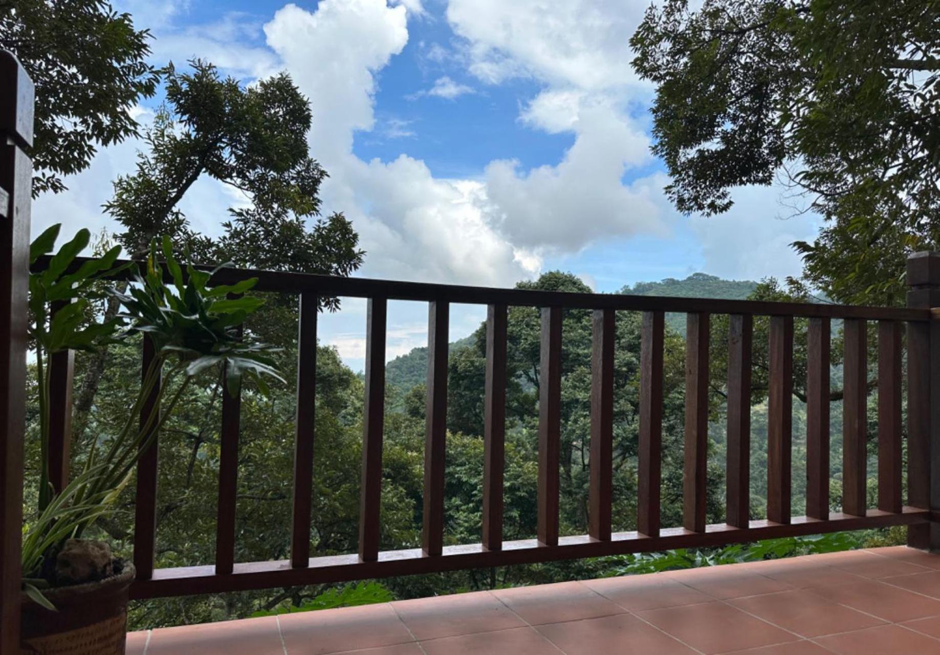 Villa Bao Sheng Durian Farm à Balik Pulau Extérieur photo