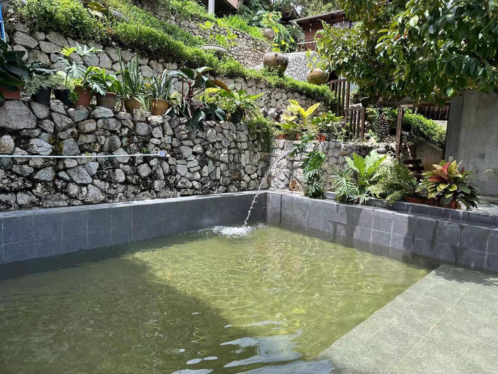 Villa Bao Sheng Durian Farm à Balik Pulau Extérieur photo